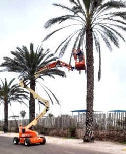 ALO Perú con Brazos Articulados Eléctricos JLG E 450 AJ en mantenimiento áreas verdes 1